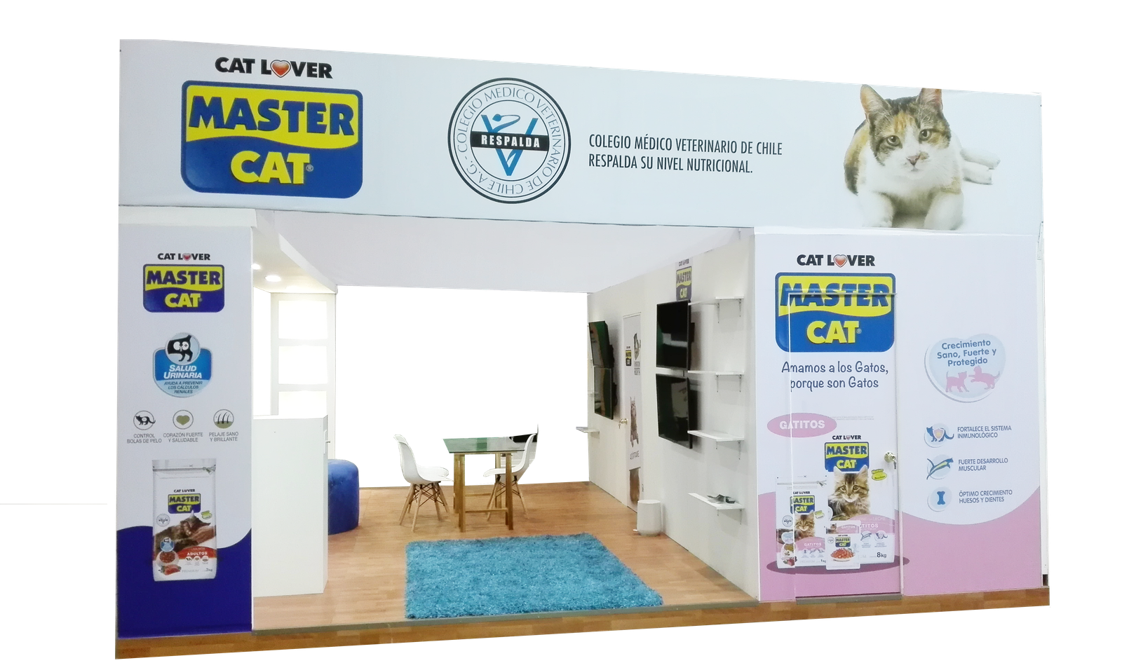 Master Cat