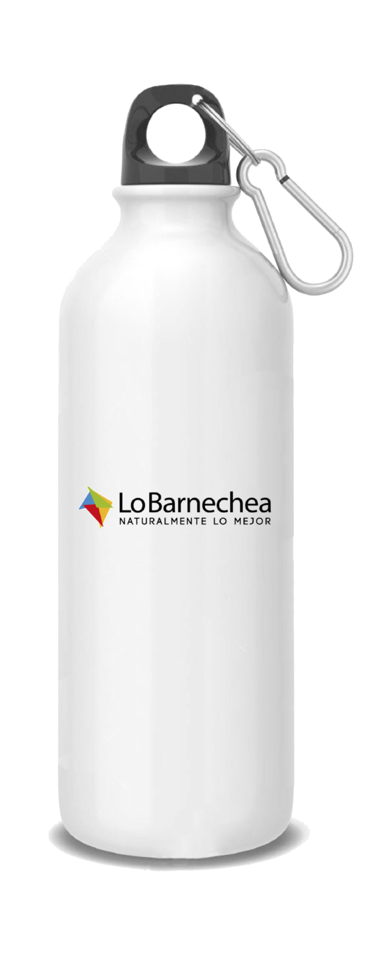 Botella Lo Barnechea